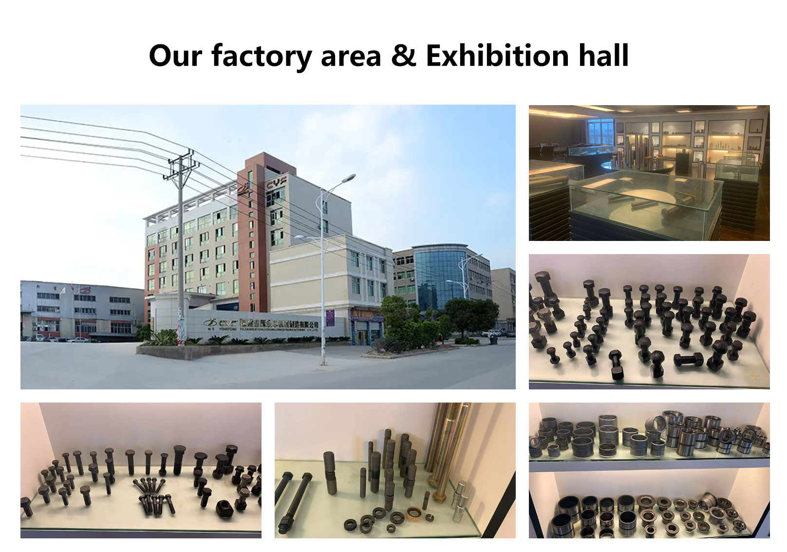 Our-factory-area-and-exhibition-hall
